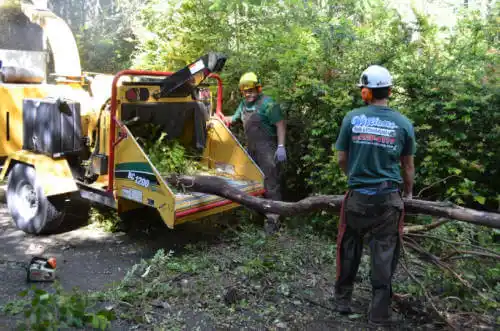 tree services Heyburn